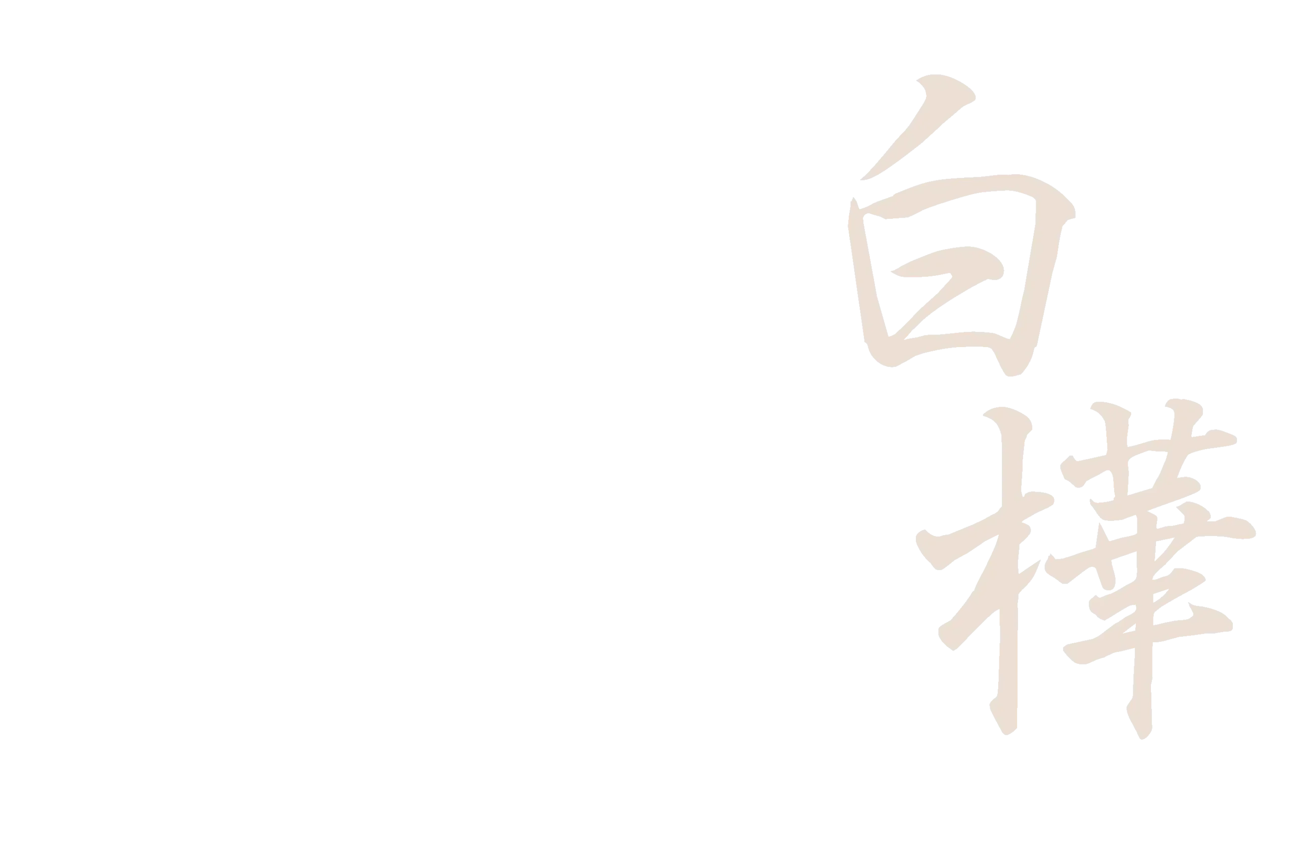 白樺
